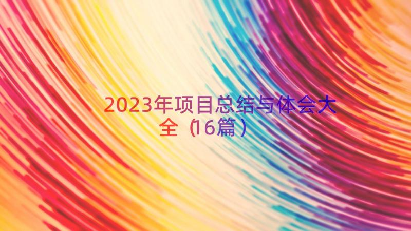 2023年项目总结与体会大全（16篇）