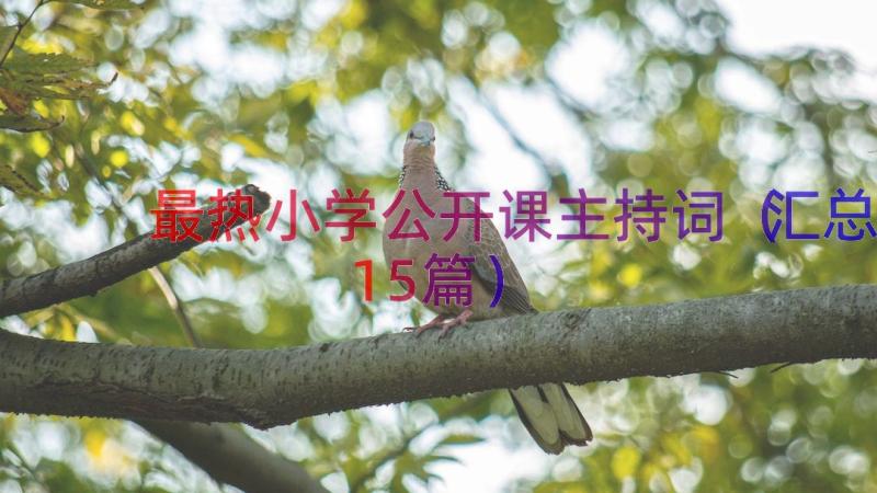 最热小学公开课主持词（汇总15篇）