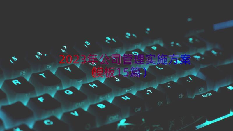 2023年公司管理实施方案（模板15篇）