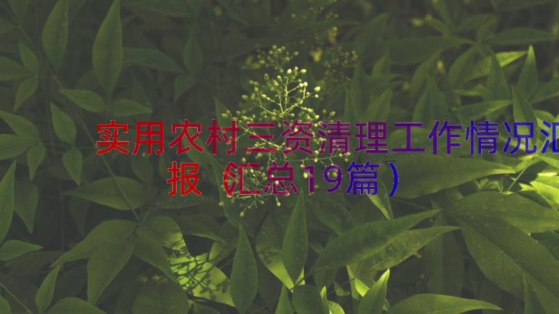 实用农村三资清理工作情况汇报（汇总19篇）