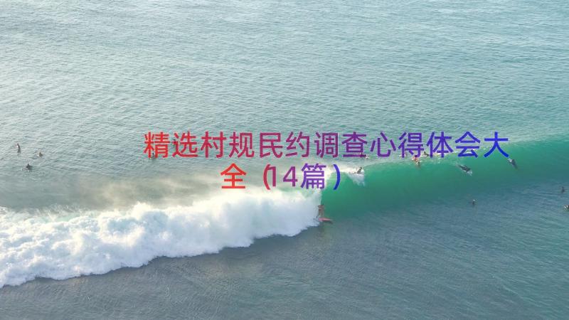 精选村规民约调查心得体会大全（14篇）