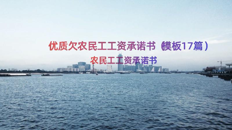 优质欠农民工工资承诺书（模板17篇）