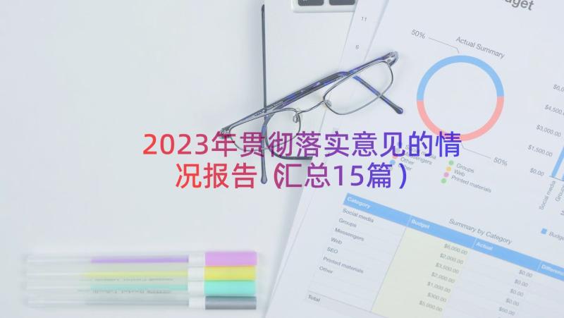 2023年贯彻落实意见的情况报告（汇总15篇）