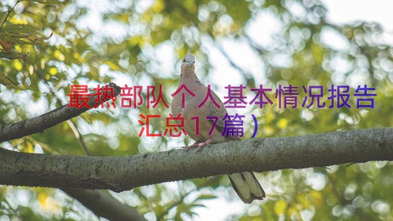 最热部队个人基本情况报告（汇总17篇）