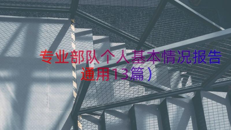 专业部队个人基本情况报告（通用13篇）