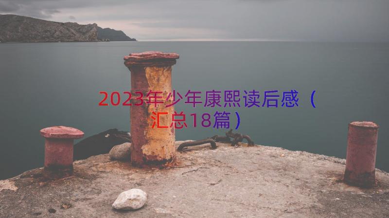 2023年少年康熙读后感（汇总18篇）