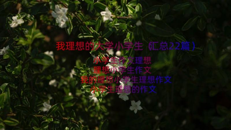 我理想的大学小学生（汇总22篇）