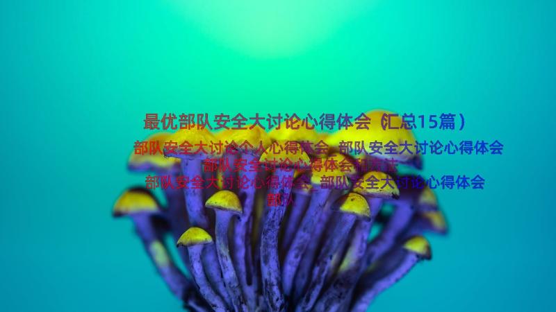 最优部队安全大讨论心得体会（汇总15篇）