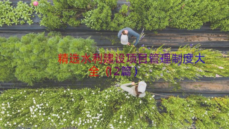 精选水利建设项目管理制度大全（12篇）