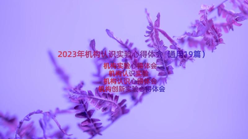 2023年机构认识实验心得体会（通用19篇）