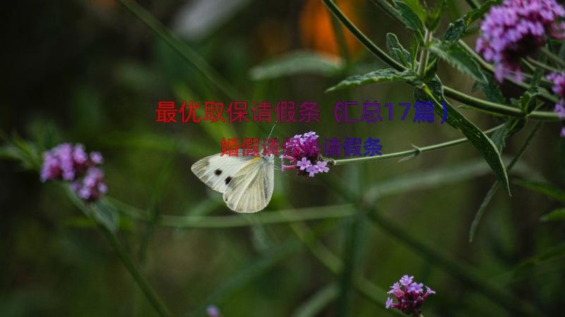 最优取保请假条（汇总17篇）