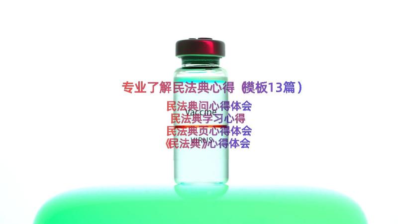 专业了解民法典心得（模板13篇）