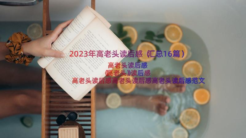 2023年高老头读后感（汇总16篇）