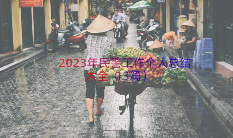 2023年民警工作个人总结大全（13篇）