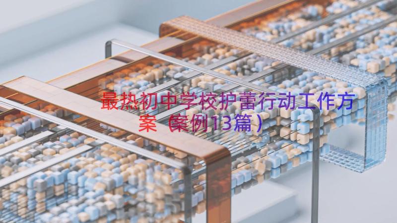 最热初中学校护蕾行动工作方案（案例13篇）