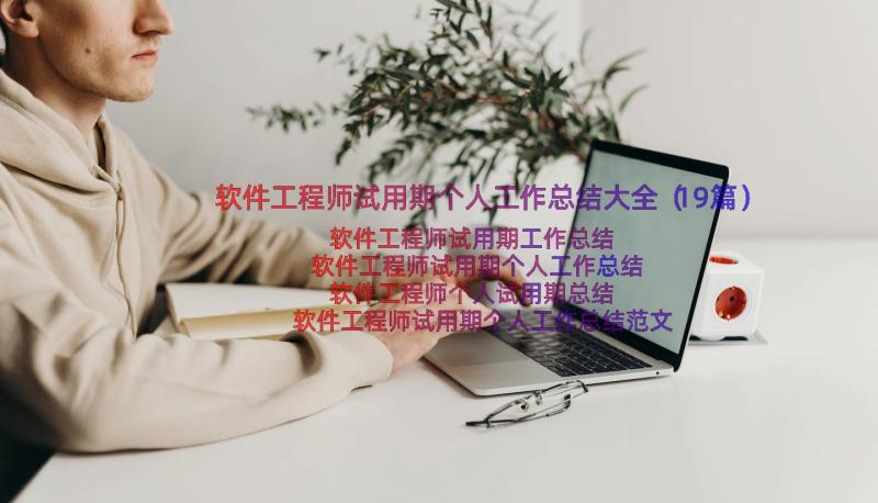 软件工程师试用期个人工作总结大全（19篇）