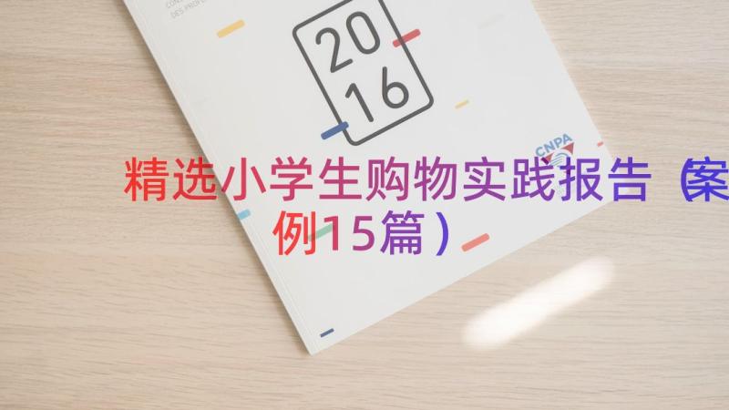 精选小学生购物实践报告（案例15篇）