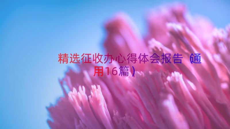 精选征收办心得体会报告（通用16篇）