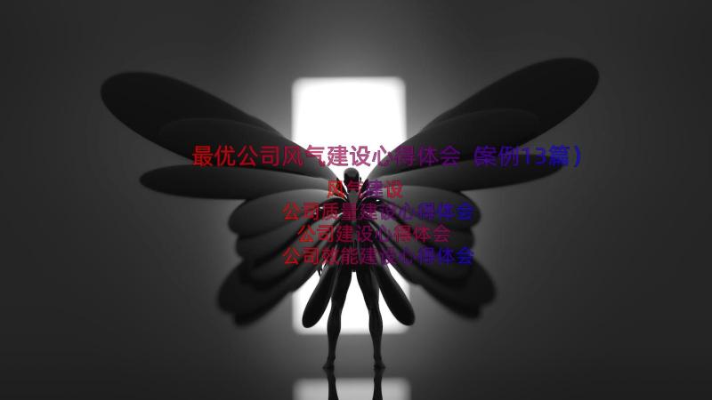 最优公司风气建设心得体会（案例13篇）