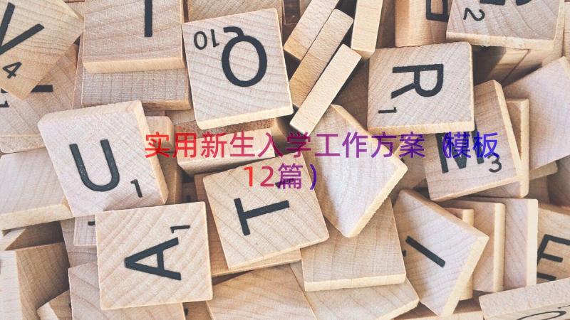 实用新生入学工作方案（模板12篇）