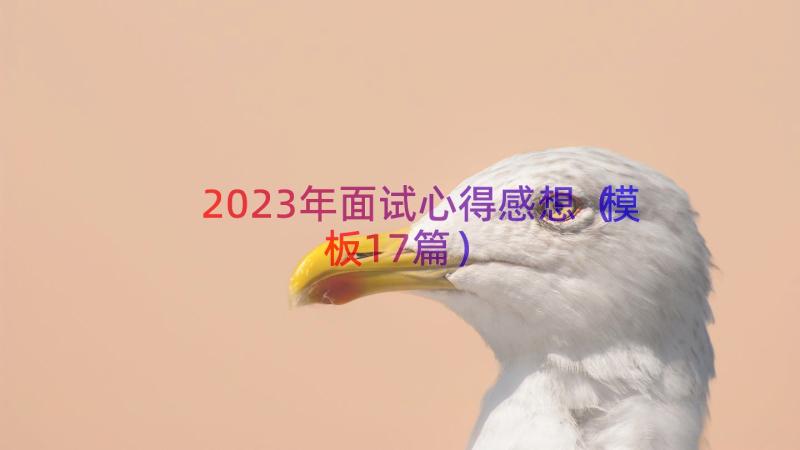 2023年面试心得感想（模板17篇）