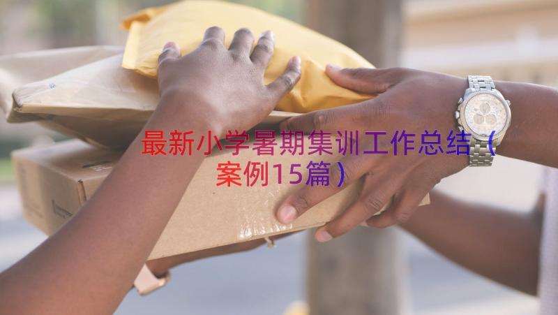 最新小学暑期集训工作总结（案例15篇）