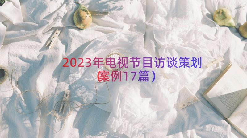 2023年电视节目访谈策划（案例17篇）