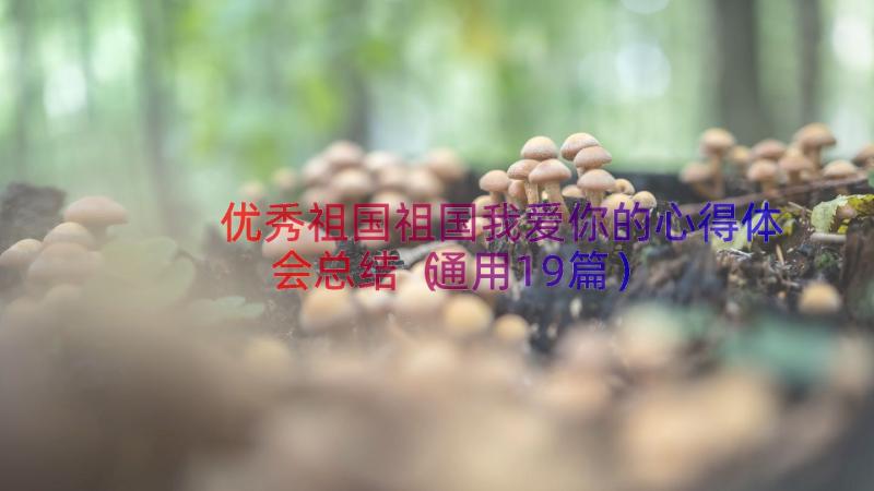 优秀祖国祖国我爱你的心得体会总结（通用19篇）