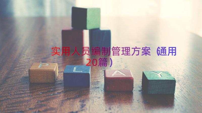 实用人员编制管理方案（通用20篇）