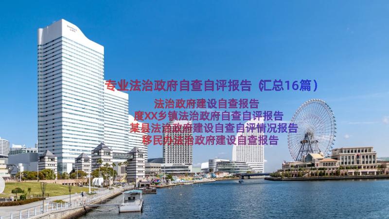 专业法治政府自查自评报告（汇总16篇）