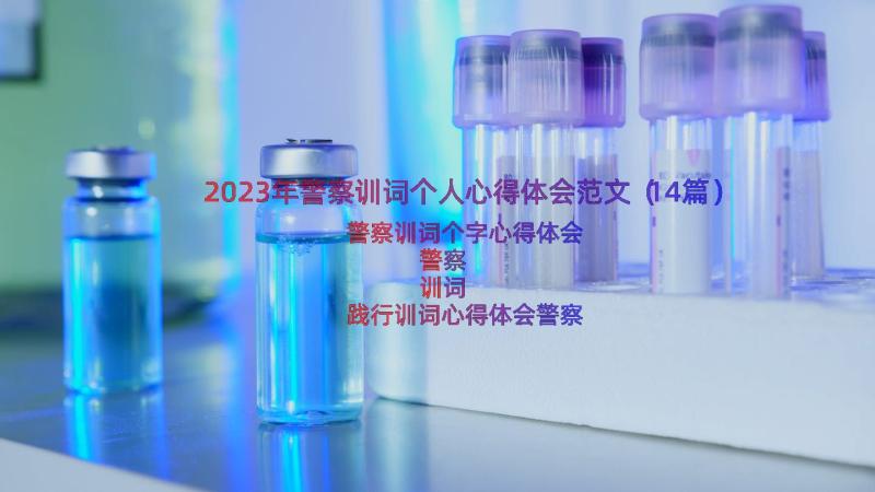 2023年警察训词个人心得体会范文（14篇）