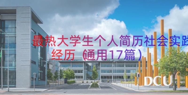 最热大学生个人简历社会实践经历（通用17篇）