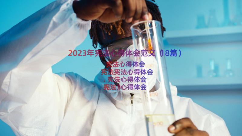 2023年宪法心得体会范文（18篇）