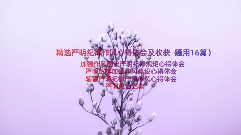 精选严明纪律作风心得体会及收获（通用16篇）