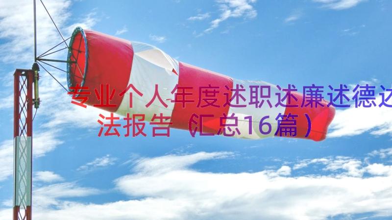 专业个人年度述职述廉述德述法报告（汇总16篇）