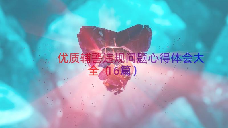 优质辅警违规问题心得体会大全（16篇）