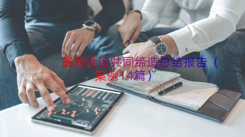 最新社区共同缔造总结报告（案例14篇）