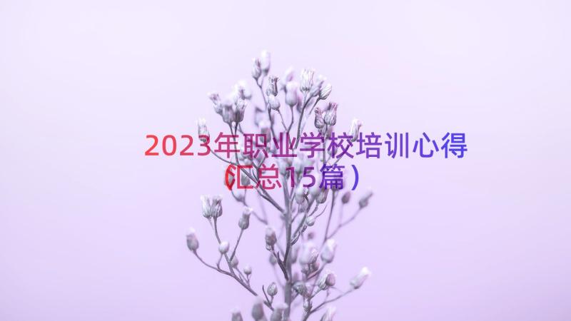 2023年职业学校培训心得（汇总15篇）