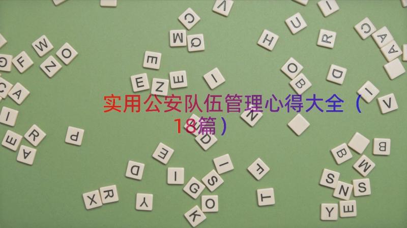 实用公安队伍管理心得大全（18篇）