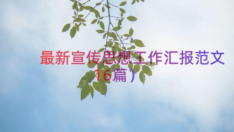 最新宣传思想工作汇报范文（16篇）