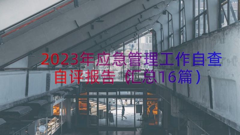 2023年应急管理工作自查自评报告（汇总16篇）