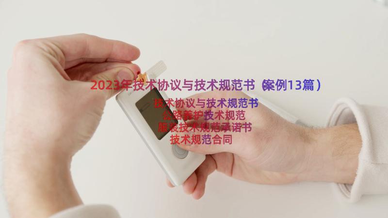 2023年技术协议与技术规范书（案例13篇）