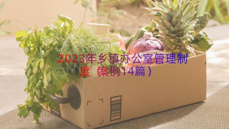 2023年乡镇办公室管理制度（案例14篇）