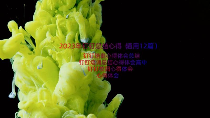 2023年钉钉总结心得（通用12篇）