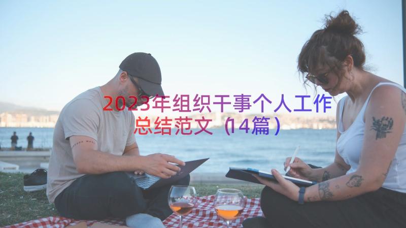 2023年组织干事个人工作总结范文（14篇）