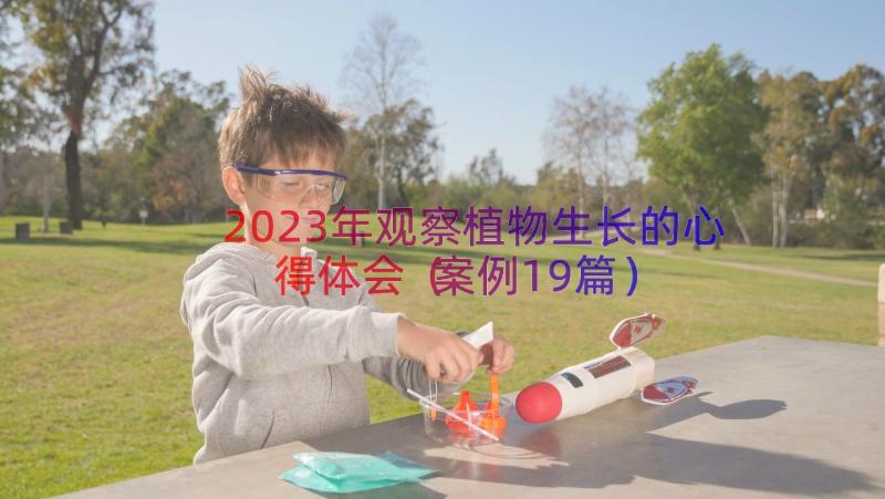 2023年观察植物生长的心得体会（案例19篇）