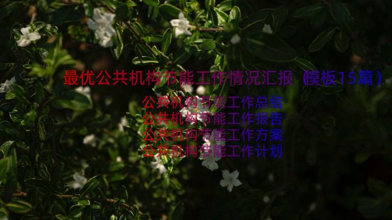 最优公共机构节能工作情况汇报（模板15篇）