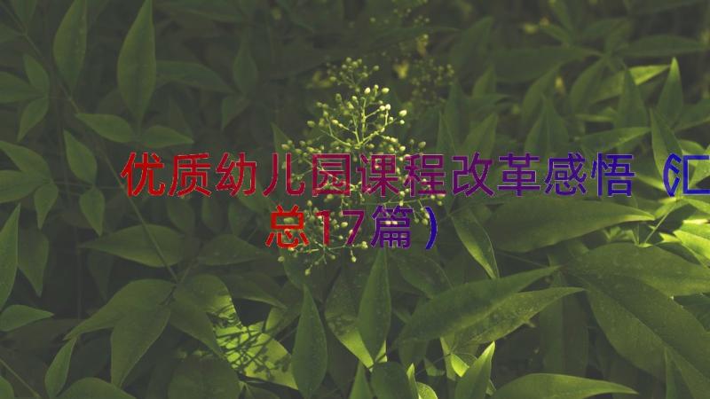 优质幼儿园课程改革感悟（汇总17篇）