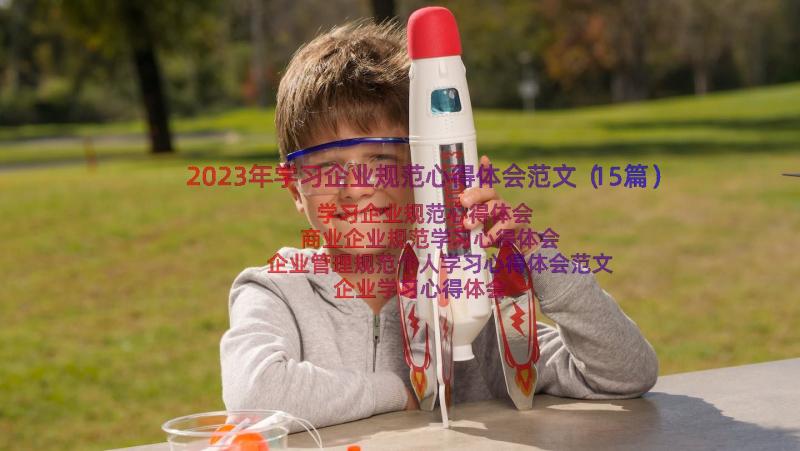 2023年学习企业规范心得体会范文（15篇）