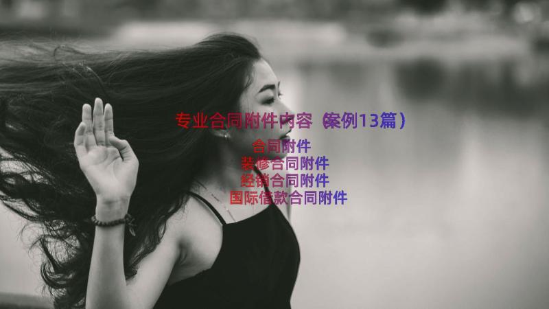 专业合同附件内容（案例13篇）